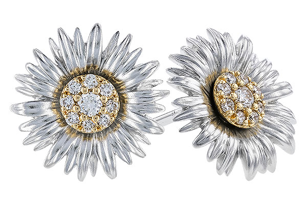 A319-39964: EARRINGS .14 TW