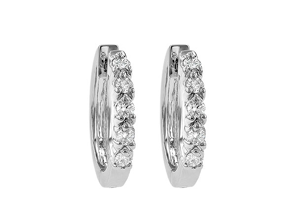 B231-21737: EARRINGS .25 TW