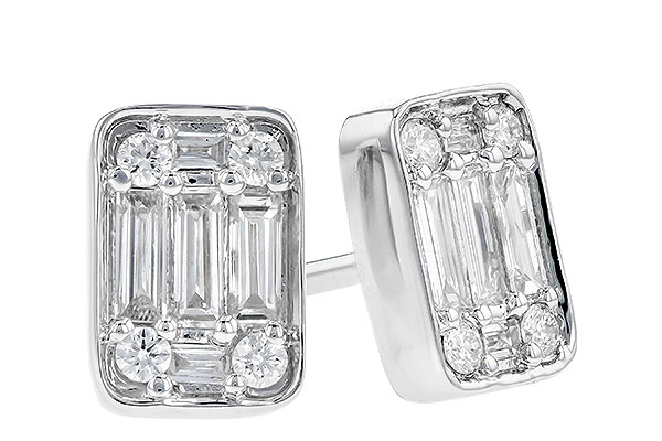 E318-47264: EARR .19 BAG .30 TW