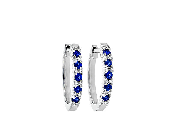 F235-77245: EARR .24 SAPP .30 TGW