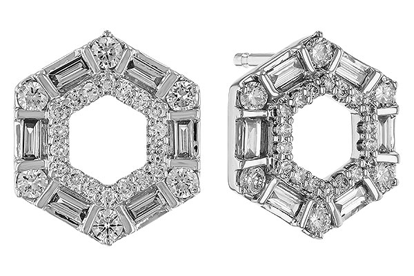 G320-29027: EARR .20 TW BAG .65 TGW