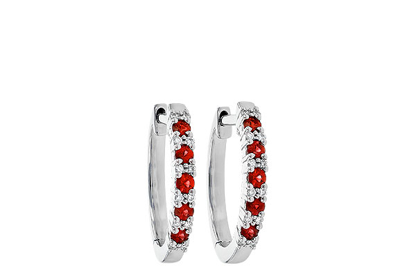 H235-77254: EARR .24 RUBY .30 TGW