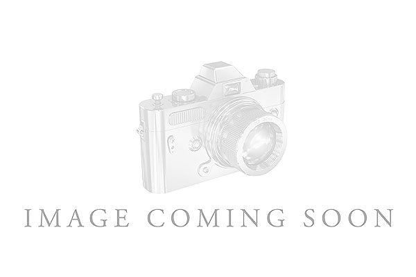 L320-33554: LDS WED RG